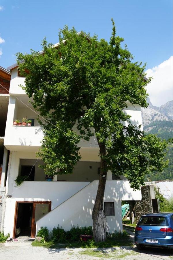Guesthouse Skender Selimaj Valbona Esterno foto