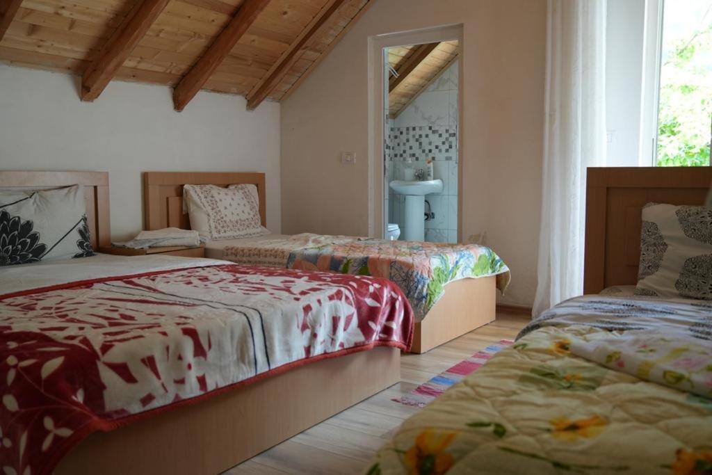 Guesthouse Skender Selimaj Valbona Esterno foto